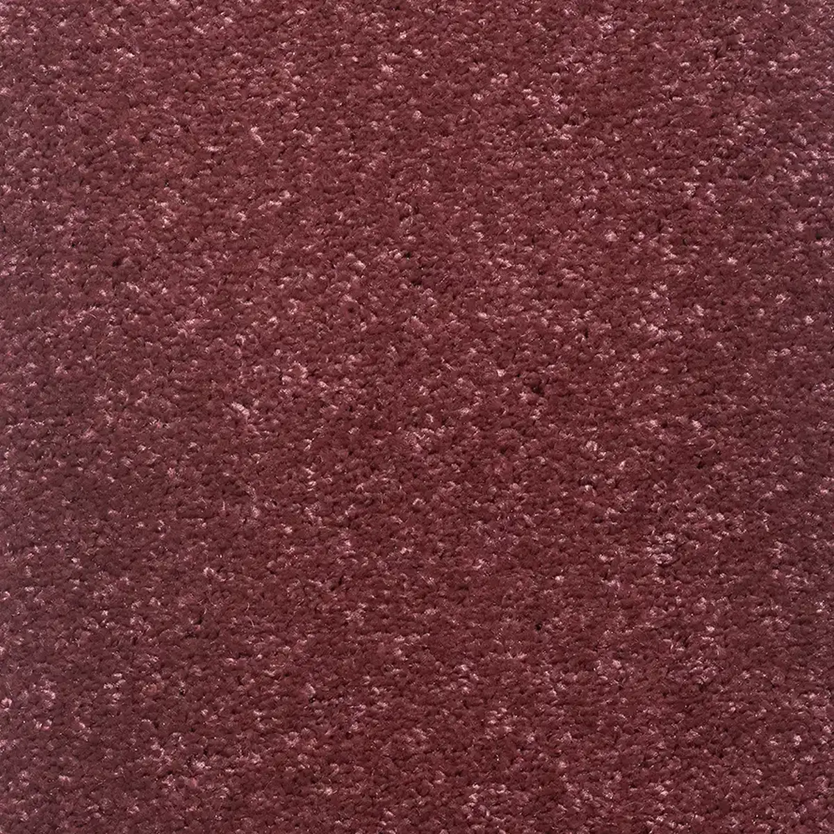 موکت کات بی صورتی کلاسیک پالاز کد 8416 — تصویر 2