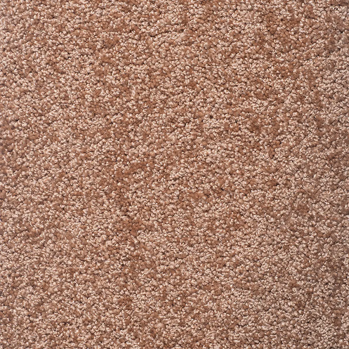موکت یاس شکلاتی پالاز کد 5465 — تصویر 2