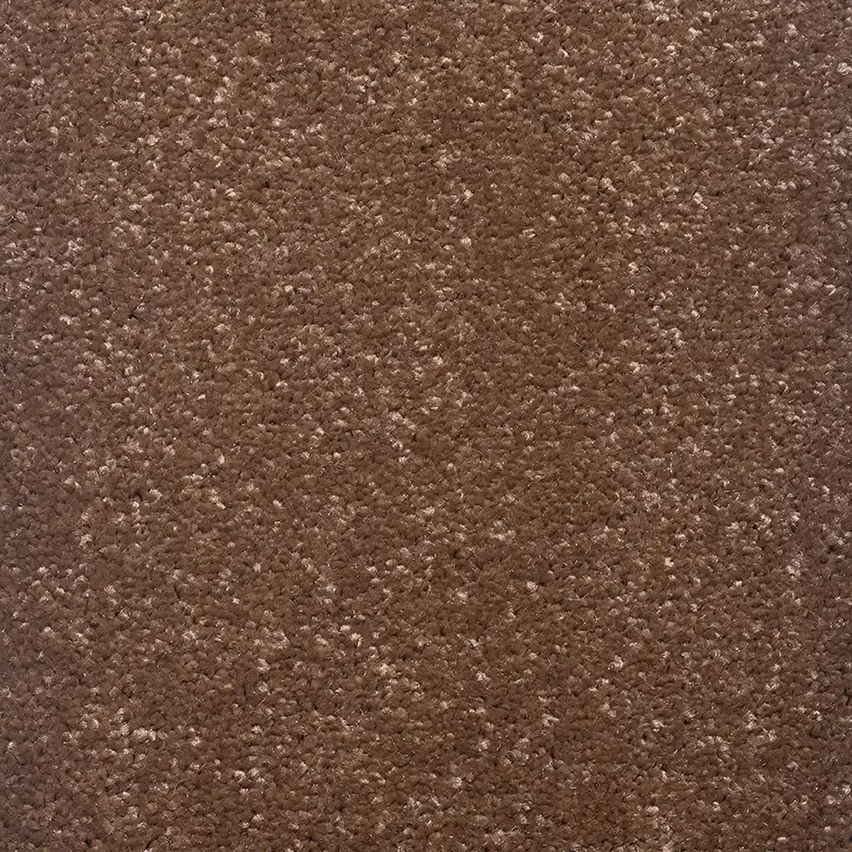 موکت کات بی کرم پالاز کد 5412 — تصویر 2
