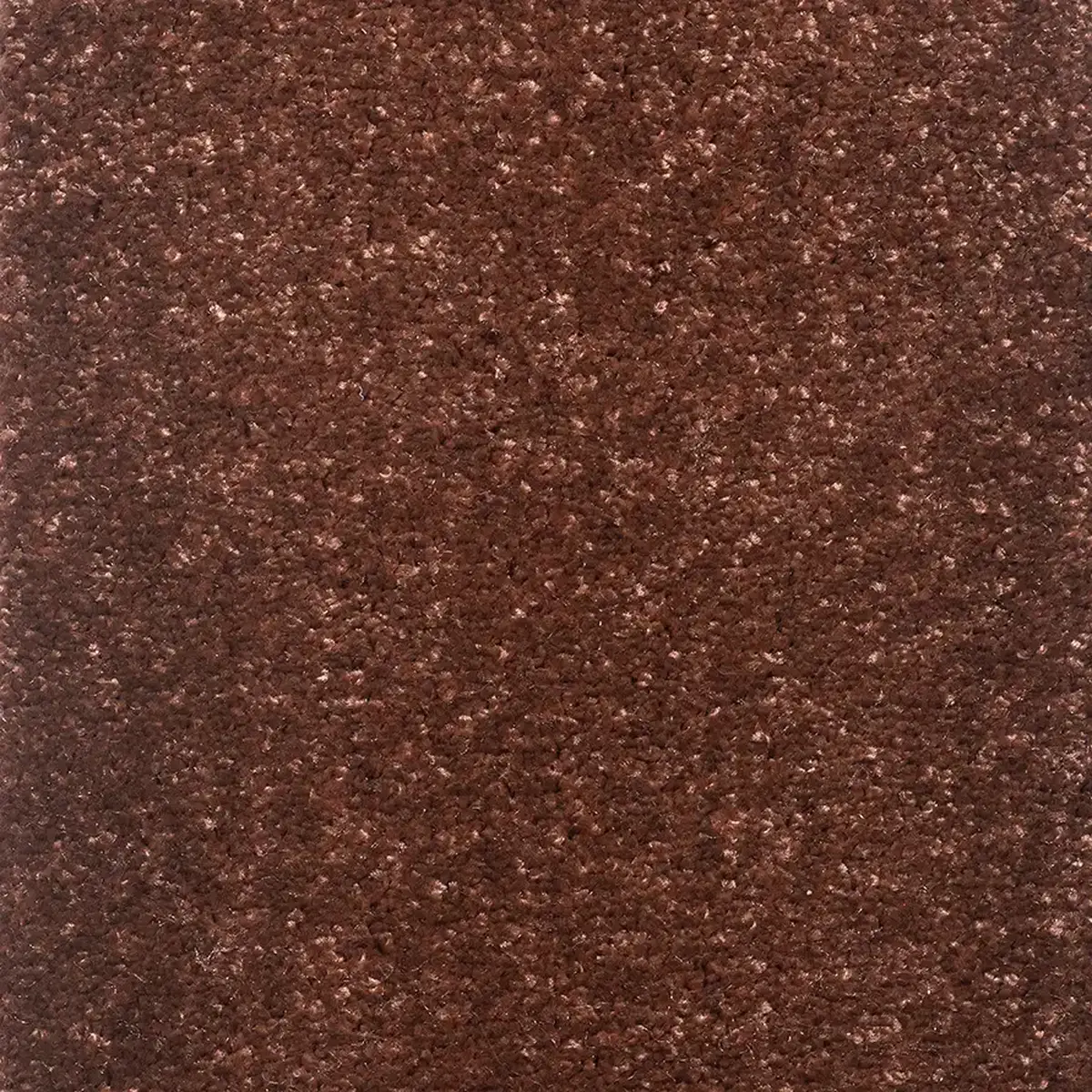 موکت کات بی مسی پالاز کد 4122 — تصویر 2