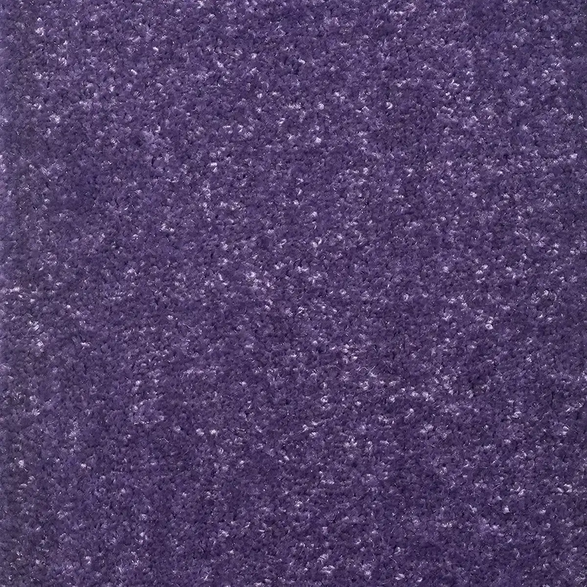 موکت کات بی بنفش پالاز کد 3111 — تصویر 2