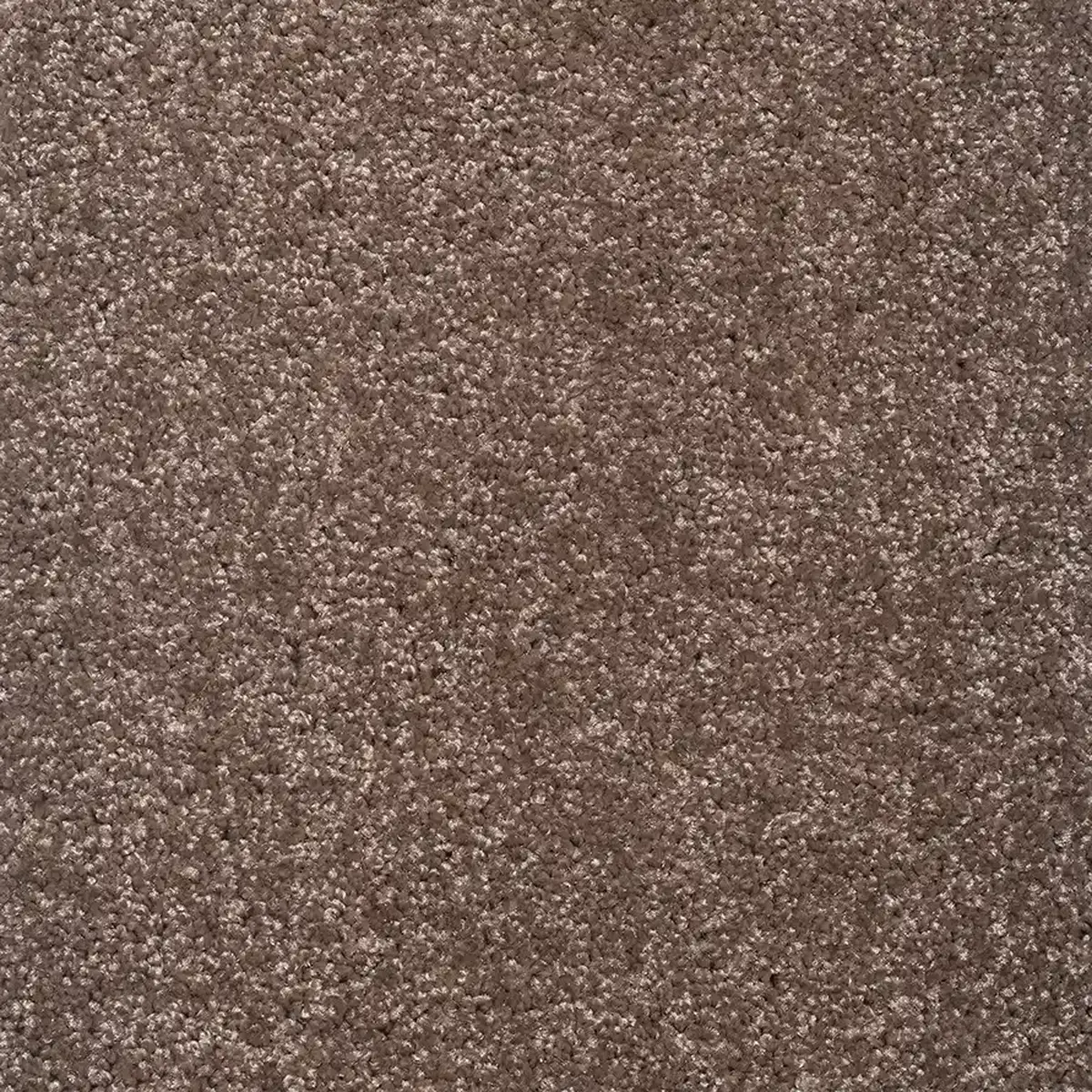 موکت یاسمن موشی پالاز کد 5764 — تصویر 2
