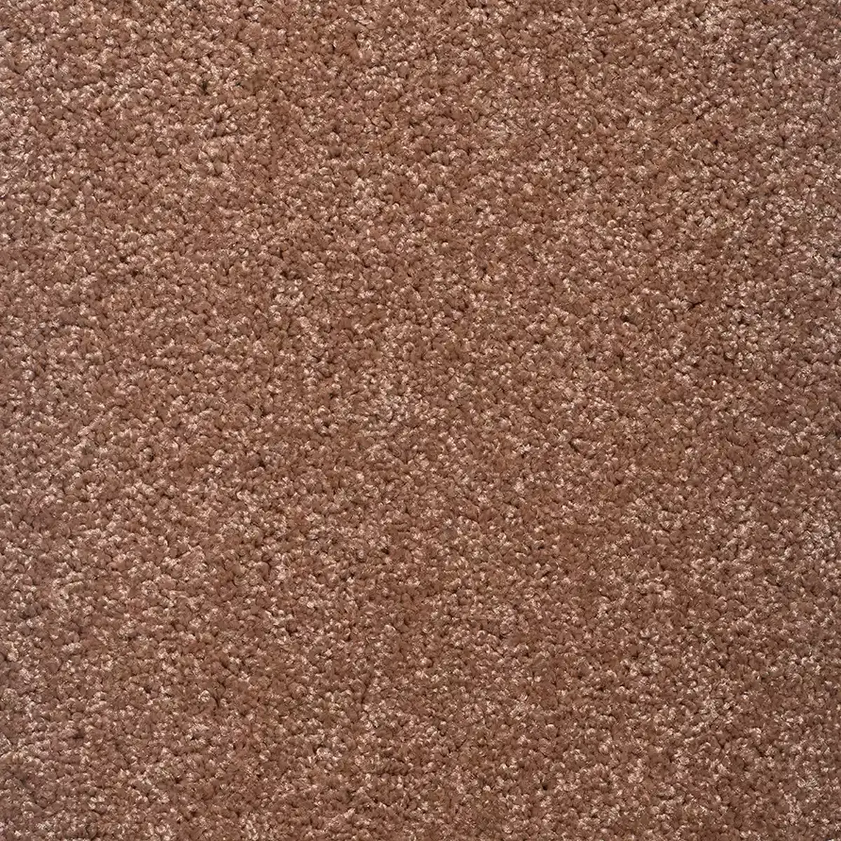 موکت یاسمن شکلاتی پالاز کد 5464 — تصویر 2