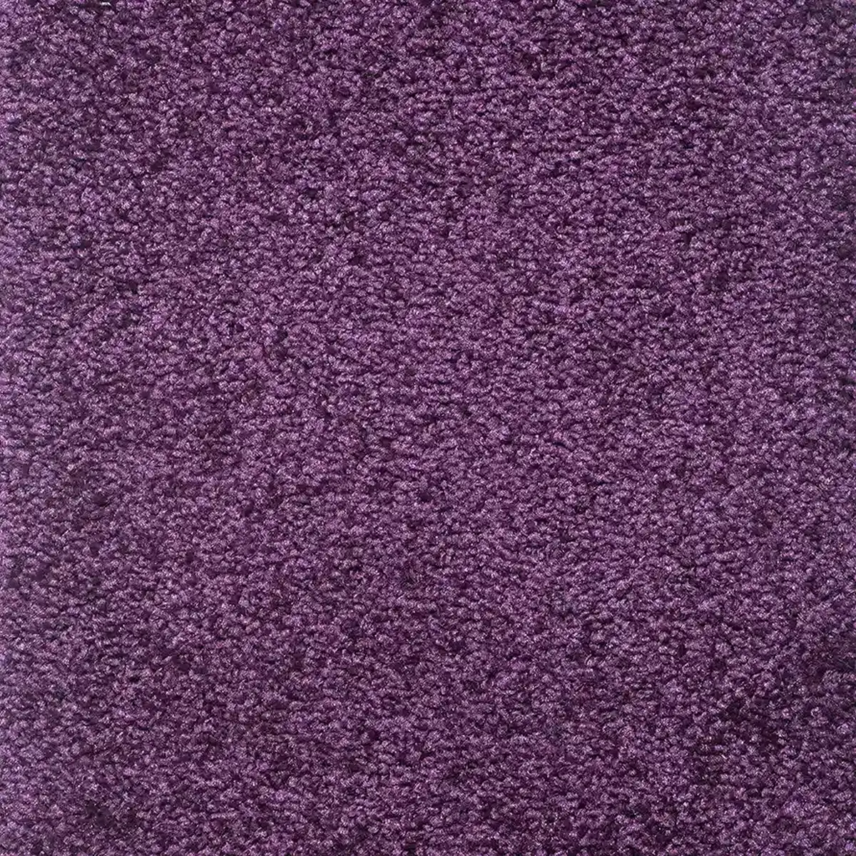 موکت کات بی بنفش سیر پالاز کد 3211 — تصویر 2