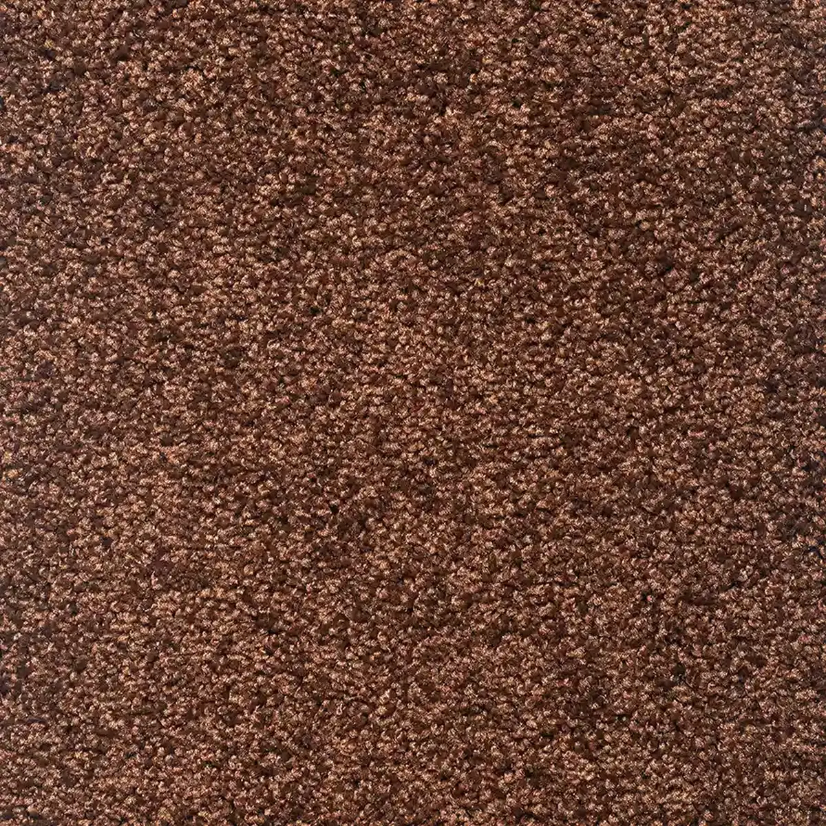 موکت کات بی شکلاتی پالاز کد 5511 — تصویر 2