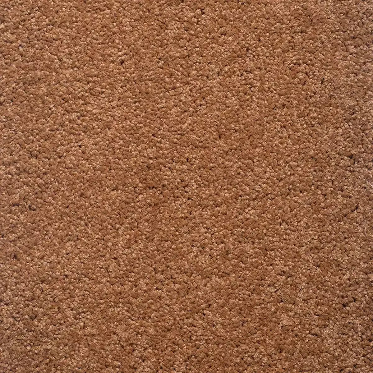 موکت یاسمن شتری پالاز کد 5564 — تصویر 2