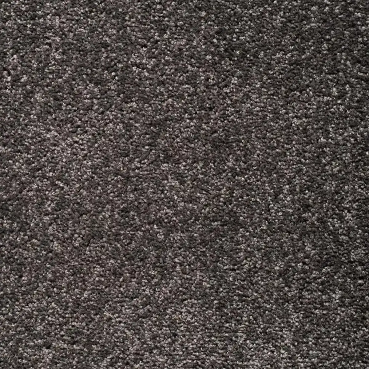 موکت کات بی خاکستری پالاز (کد 9911) — تصویر 2