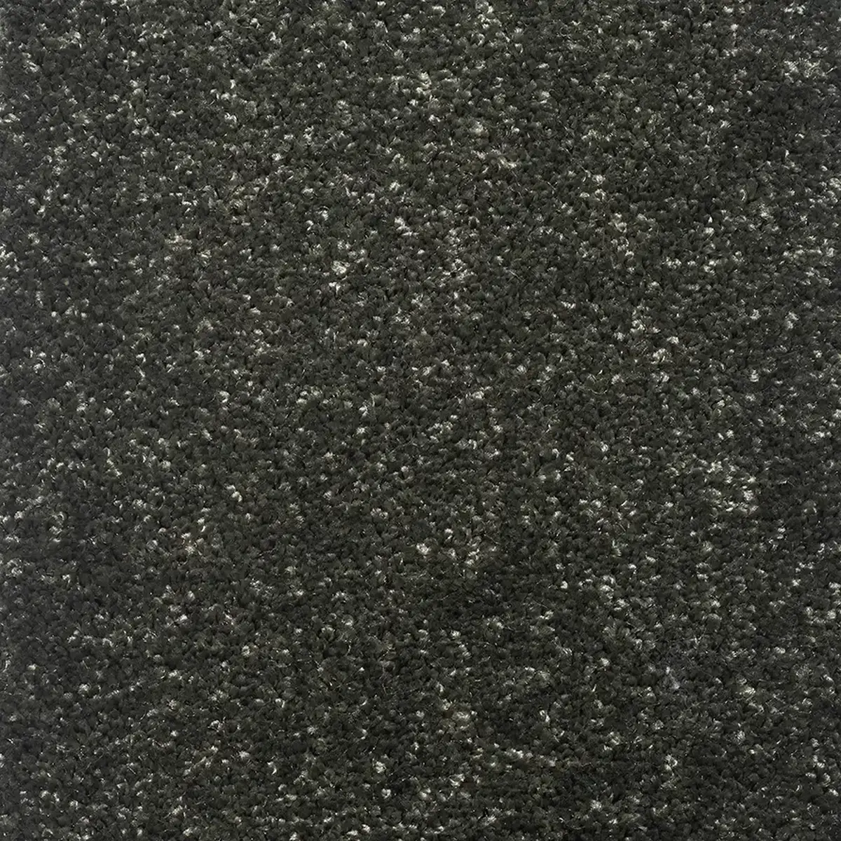 موکت کات بی کاهویی پالاز کد 6311 — تصویر 2