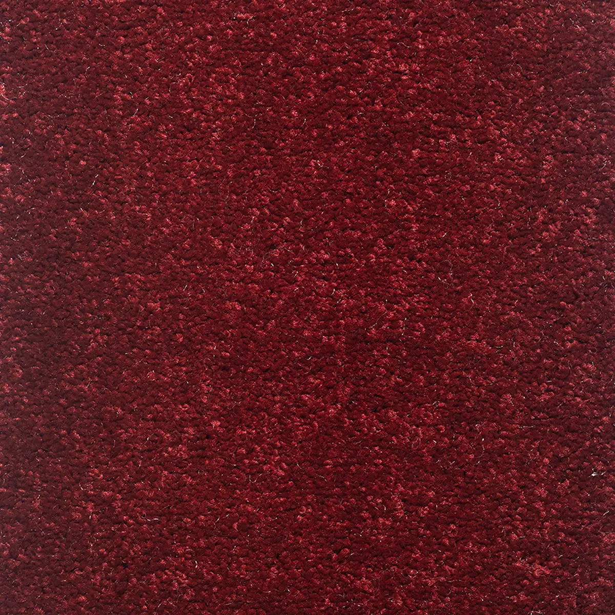 موکت کات بی لاکی پالاز کد 8811 — تصویر 2